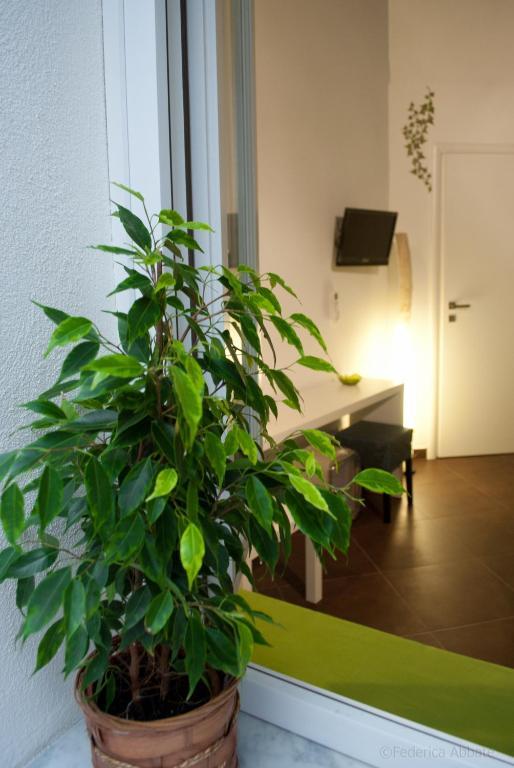 Affittacamere B&B Carella Palermo Værelse billede